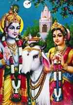 2012S<br><br> *Radha and Krishna Poster on Cardboard - 15"x20"