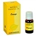 Wholesale Auroshikha Orange Essential Oil 10ML - 1/3FL.OZ.