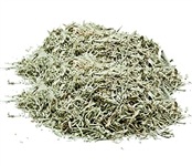 Wholesale Shasta Sage