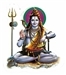 Wholesale Lord Shiva Stickers