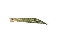 Wholesale Sweetgrass Braid