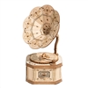 Classic 3D Wood Puzzles; Gramophone