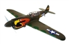 SEAGULL MODELS CURTISS P-40N WARHAWK 33cc-50cc 80â€³ (PARROT HEAD) SEA250P