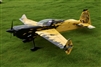 Skywing RC 91" ARS300-C-Printing 50-60cc