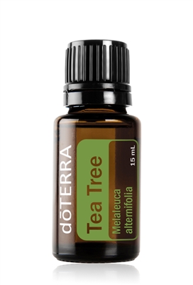 TeaTree Oil