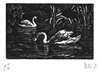 Signed wood engraving by Diana Bloomfield