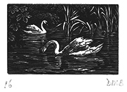 Signed wood engraving by Diana Bloomfield