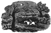 The Engraver's Cut (Diana Bloomfield): Rider on Horse