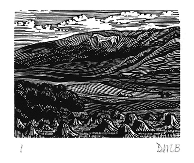 The Engraver's Cut (Diana Bloomfield): White Horse on Downs