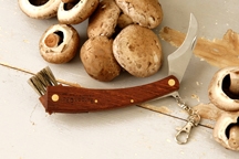 Mushroom Collecting Knife
