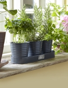 Burgon & Ball Sophie Conran Herb Pots With Tray Grey