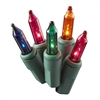 Holiday Living 0165142 Multicolored 100ct Mini Light 21.9' Feet Long