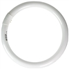 GE 11039 12" Active Spaces FC12 T9 Circline Daylite Bluish White Fluorescent 32 Watt Tube Light Bulb