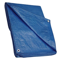 Tuff Stuff BPT0810 Blue 8' x 10' All Purpose Poly Tarp