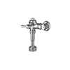 DELANY R451-1 Genuine OEM REX FLUSHOMETER 1.0 GPF FOR URINAL