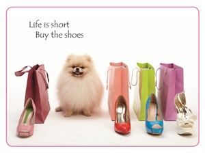 1405 BD Shoe shopping with dog
