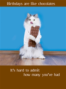 1453 BD Cat eats chocolates