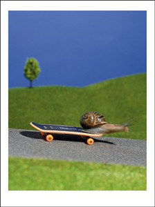 3115 CG Snail on skateboard