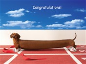 3129 CG Stretched out dachshund