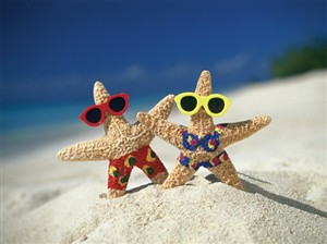 4113 AV Starfish couple
