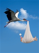 4627 NB Stork delivers baby