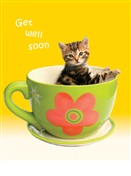 5133 GW Cat in cup