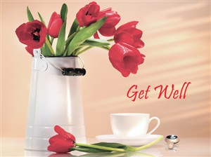 5138 GW Red tulips, tea cup