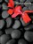 5423 SY Red flower on stones