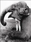 6215 FR Girl whispers to elephant
