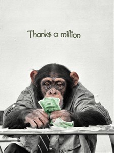 6443 TY Chimp counts money
