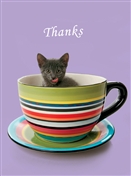 6447 TY Cat in mug