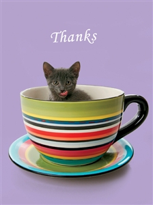6447 TY Cat in mug