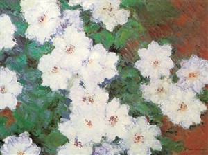 MONET Clematis (6790)