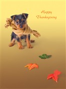 7324 TH Dog, scarf, colorful leaves