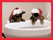 7523BX CH Cats w/ hats at toilet