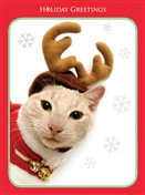 7560 CH Cat as reindeer