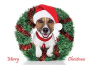 7561 CH Dog with santa hat, wreath