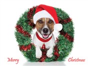 7561BX CH Dog with santa hat, wreath