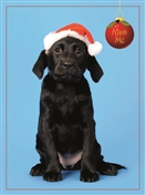 7569BX CH Puppy Fleas Navidad