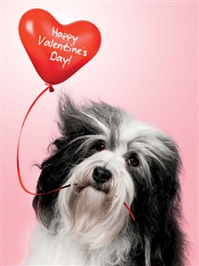 8159 VL Dog, heart balloon