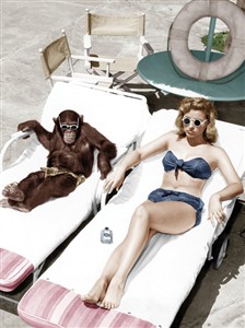 8535 MD Lady & chimp tanning