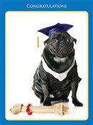 8833 GD Dog in cap & gown, chew toy