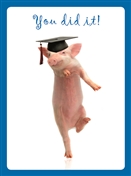 8837 GD Pig graduate