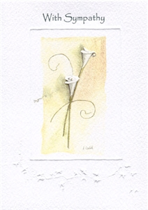 S554-SY SY Arum lily