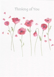 S589-TO TK Poppies