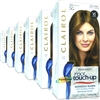 6x Clairol Root Touch Up Permanent Hair Colour Dye 5G MEDIUM GOLDEN BROWN