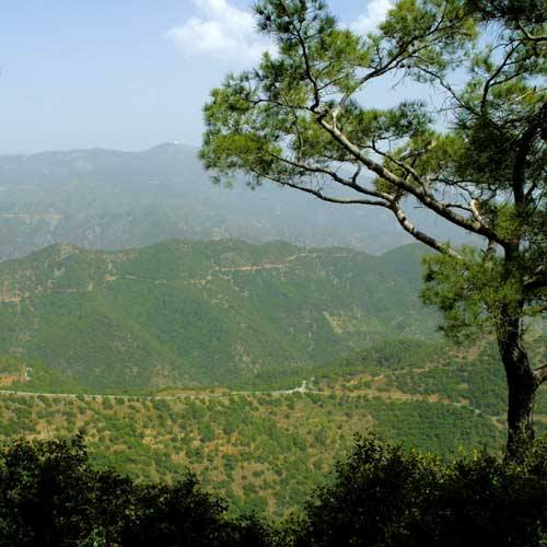 Limassol Shore Trips - The Troodos Mountains