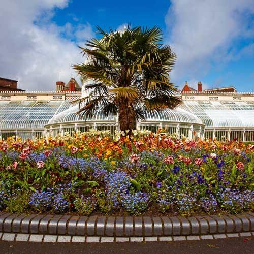 Belfast Shore Trip - Mount Stewart and Belfast