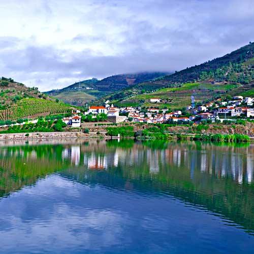 Porto Shore Trips - Experience Wine of the Douro Valley