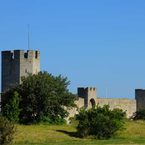 Visby Shore Trip - Visby Tour